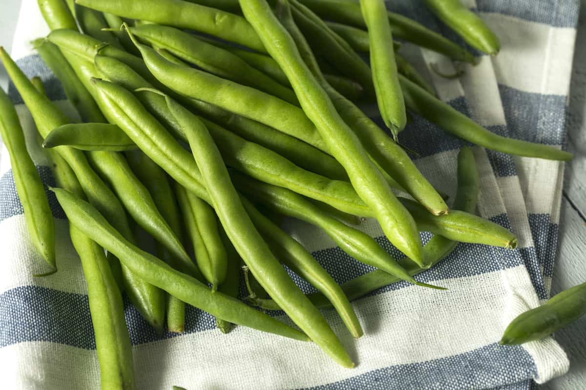 what-is-the-difference-between-string-beans-and-green-beans