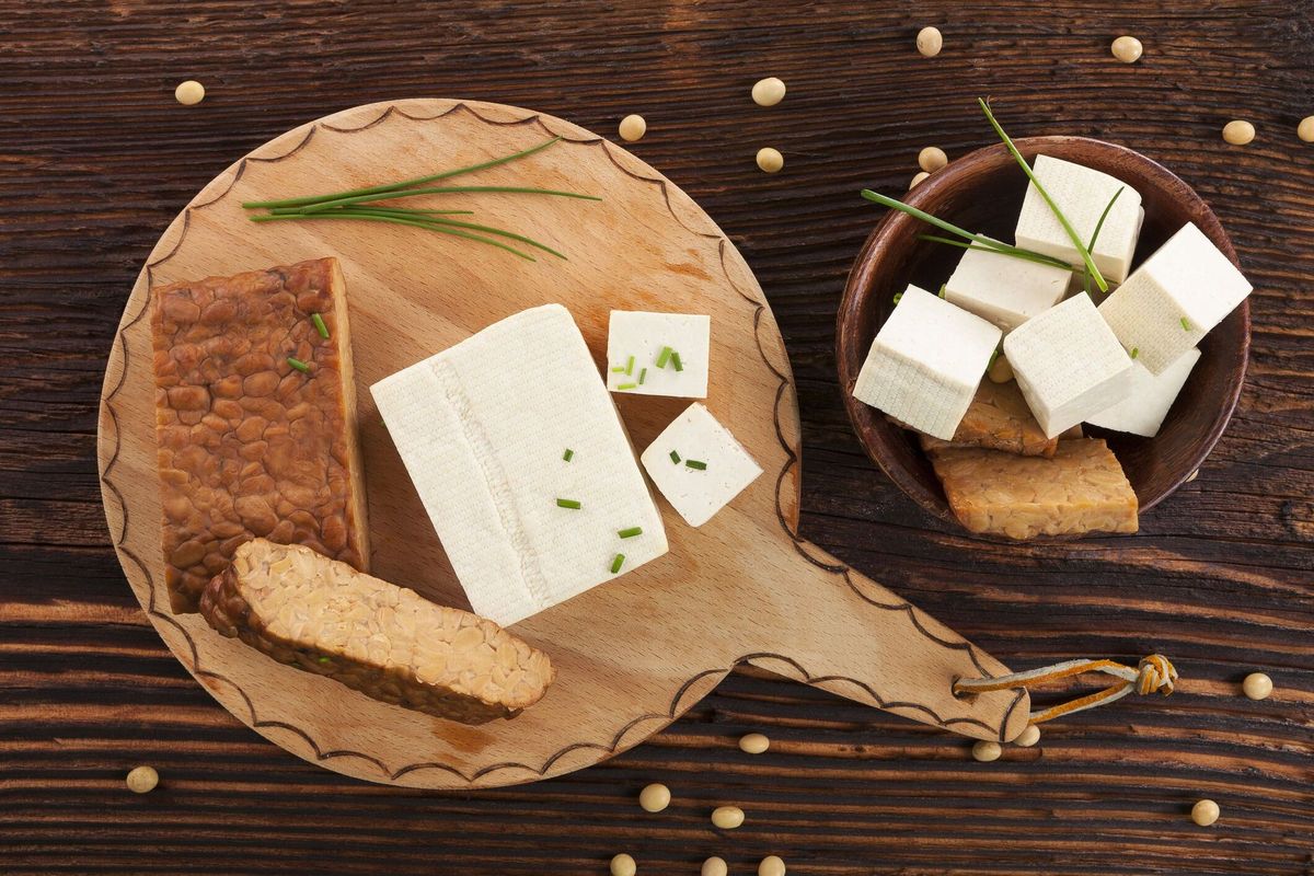 what-is-the-difference-between-tempeh-and-tofu