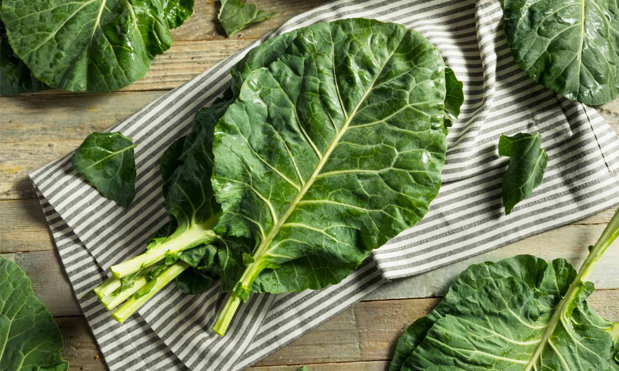 what-is-the-difference-between-turnip-greens-and-collard-greens