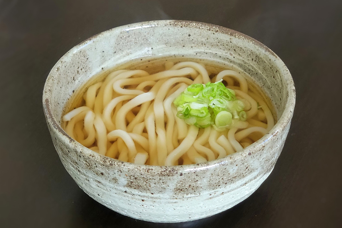 what-is-udon