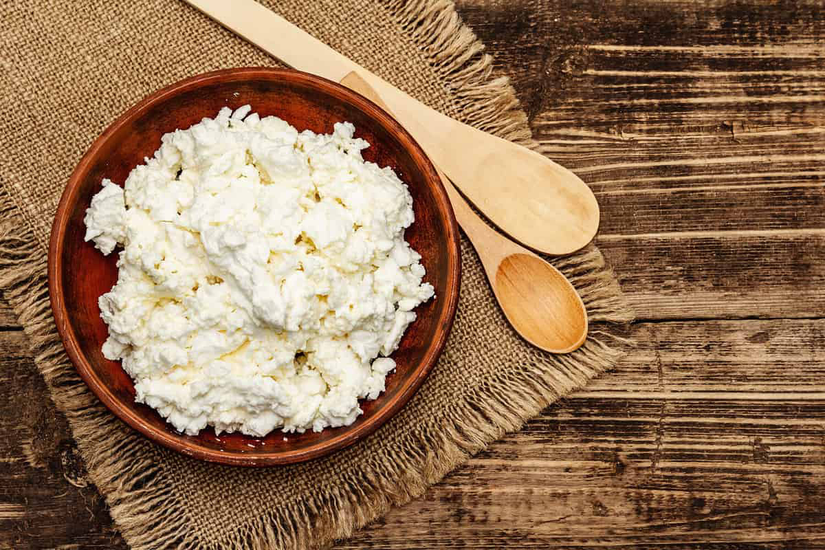 what-is-the-best-ricotta-cheese