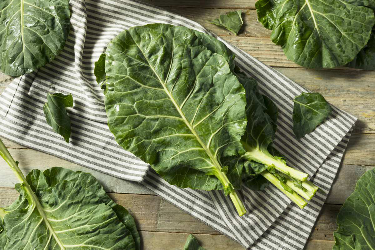 what-is-the-difference-between-mustard-greens-vs-turnip-greens