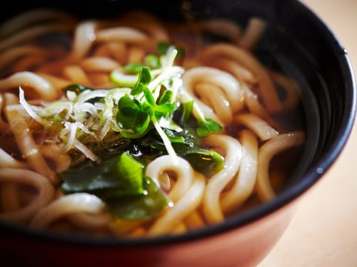 Japanese udon noodle