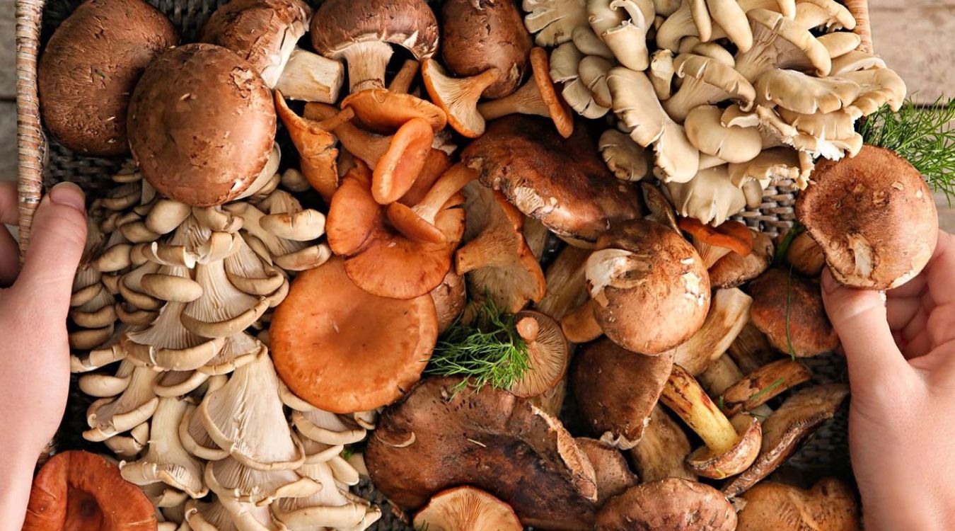 creative-ways-to-cook-with-mushroom-varieties