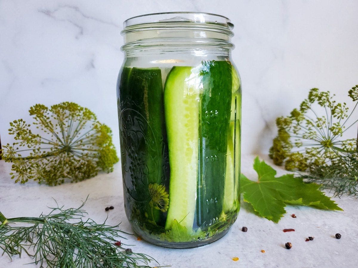 diy-probiotics-and-pickles-through-fermentation