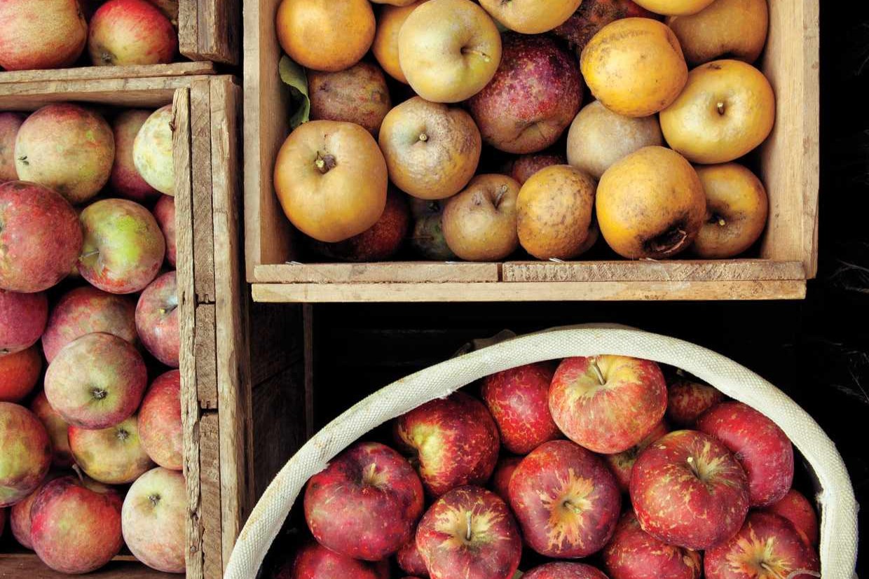 exploring-the-world-of-heirloom-fruits