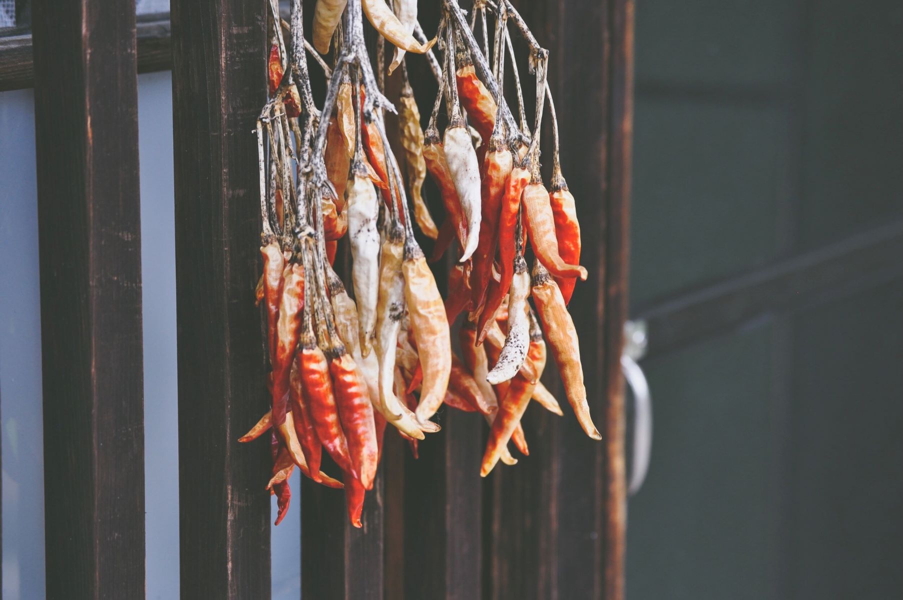 exploring-traditional-sun-drying-methods