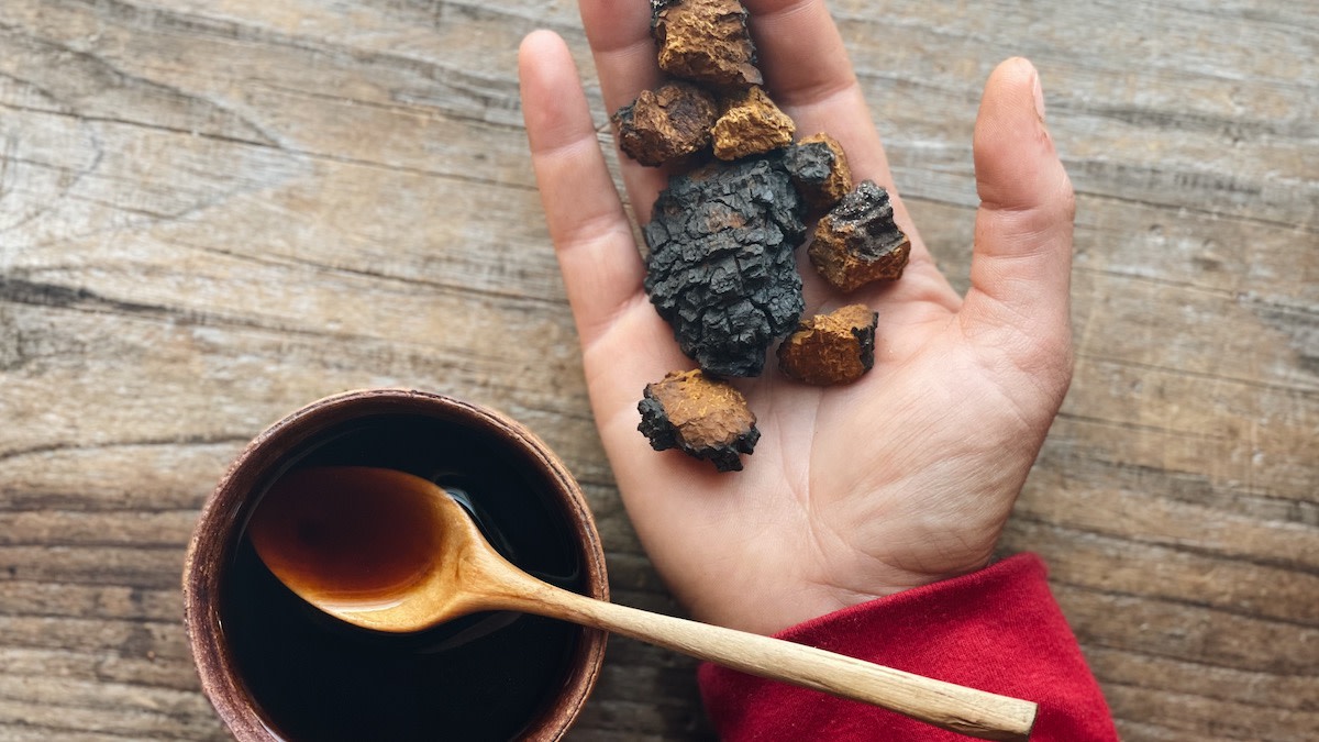 innovative-ways-to-cook-with-chaga-mushrooms