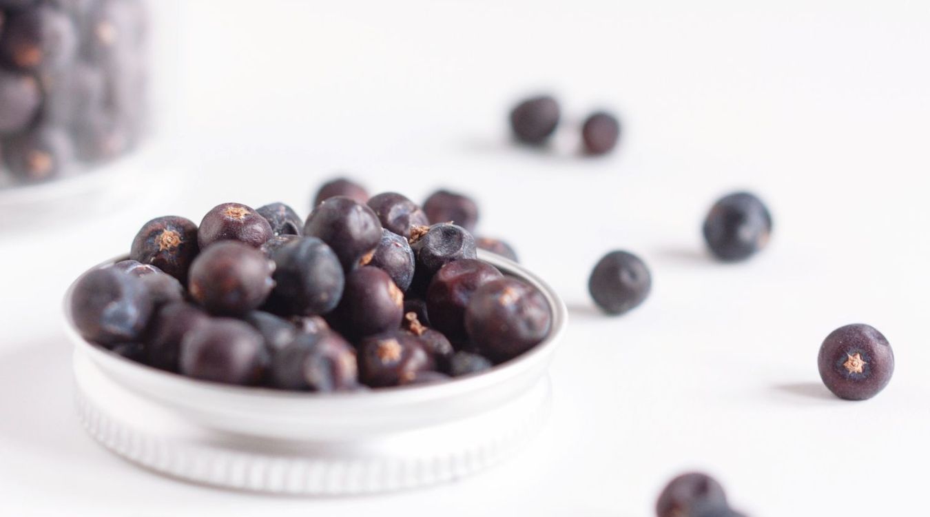 innovative-ways-to-cook-with-juniper-berries