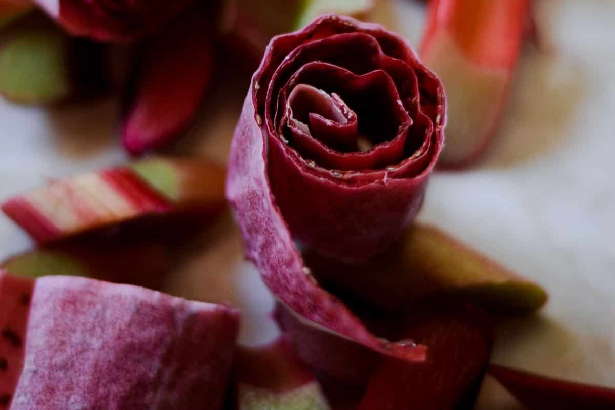 mastering-the-perfect-homemade-fruit-leather-rosettes