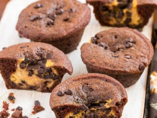 chocolate pumpkin cheesecake muffins recipe