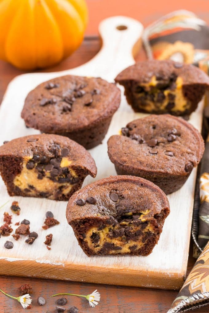 chocolate pumpkin cheesecake muffins recipe