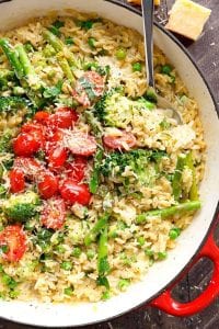 one pot orzo primavera recipe