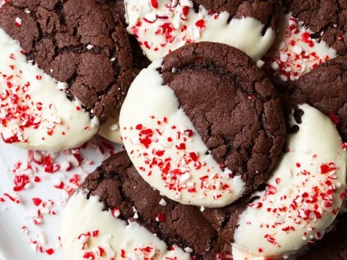white chocolate dipped peppermint chocolate cookies recipe