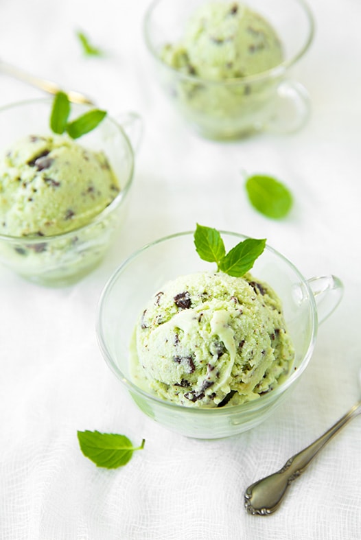 Creamy Mint Chocolate Chip Ice Cream - Jett's Kitchen