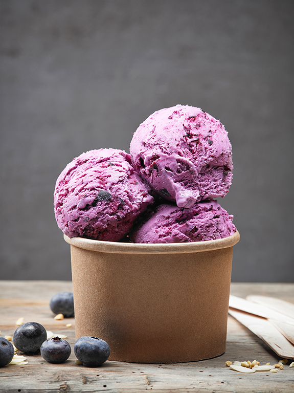 frozen blueberry yogurt