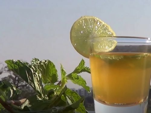 lemon verbena mint detox tea recipe