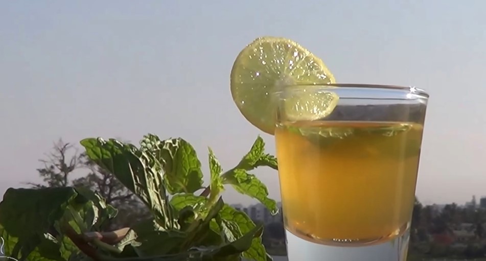 lemon verbena mint detox tea recipe