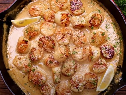 creamy garlic scallops recipe