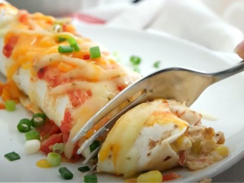cream cheese chicken enchiladas recipe