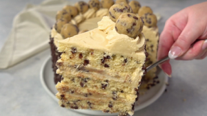 Mint Chocolate Chip Cake Lectin free recipes — Lectin-free and Gluten-free  Recipes