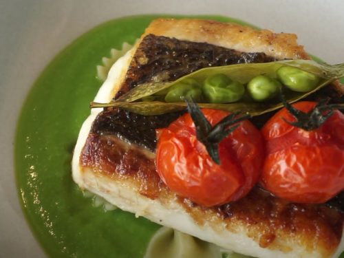 Herb-Crusted Halibut with Pea Purée and Coriander Vinaigrette Recipe