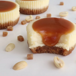 mini samoas cheesecakes recipe