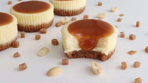 mini samoas cheesecakes recipe