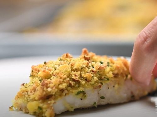 baked fish with parmesan breadcrumbs recipe
