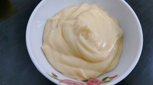 homemade mayonnaise immersion blender recipe