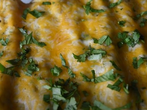 Salsa Verde Beef and Mushroom Enchiladas Recipe