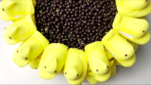 sunflower peep cake recipe