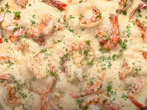 garlic-parmesan shrimp recipe