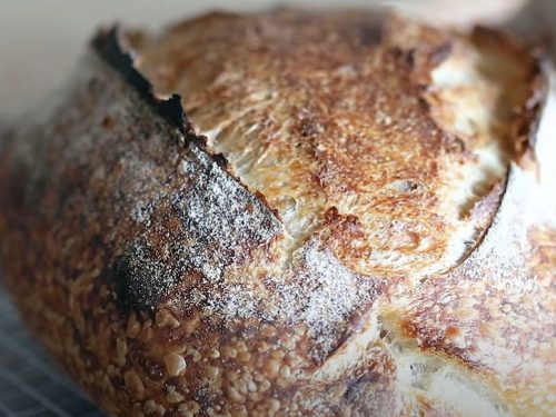 sourdough bread recipe