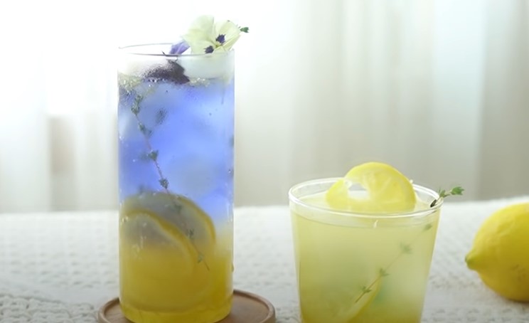 lemon lime soda cocktail recipe