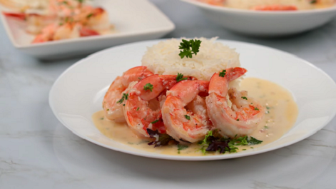 creamy garlic shrimp recipe