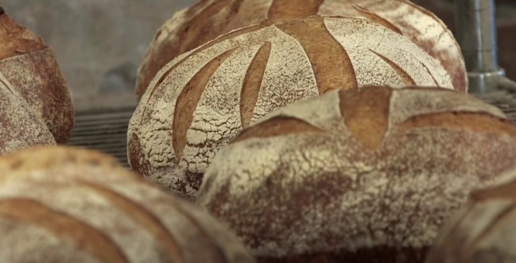 Bread Knife with Guide  King Arthur Baking Company