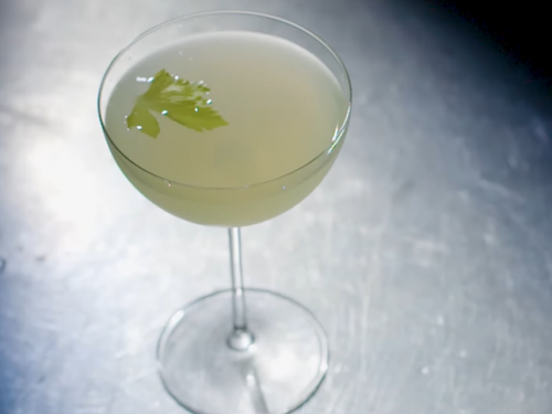 celery cilantro cocktail recipe