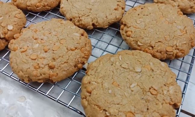 toasted-oatmeal-scotchie-cookies-recipe-buttery-rich-tasting-recipe