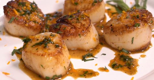 seared sea scallops with clementine sauce recipe