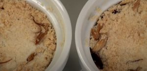 mango blueberry crumble recipe