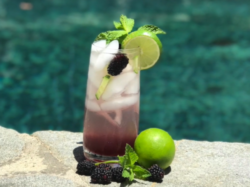 blackberry cucumber vodka tonic recipe