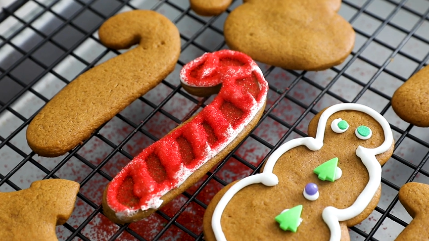 classic gingerbread cutouts recipe