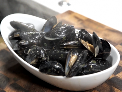 mussels in basil cream sauce recipe
