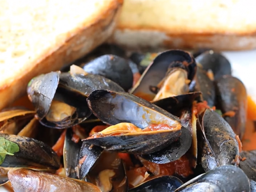 steamed mussels with tomato and garlic broth recipe
